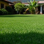 Ejemplo de uso de NitroXtend urea verde: follaje más verde en plantas y grama