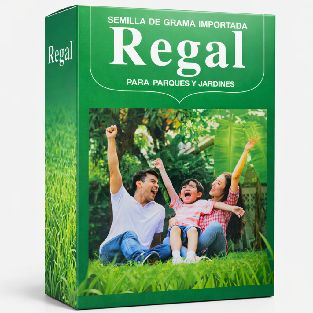 🌱 Semilla de Grama REGAL® – Perennial Ryegrass Importada - Doctor Plantas GT